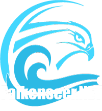Falkenseer.NET